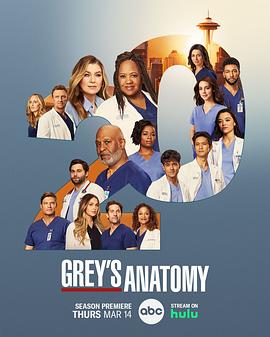 实习医生格蕾 第二十季 Grey’s Anatomy Season 20