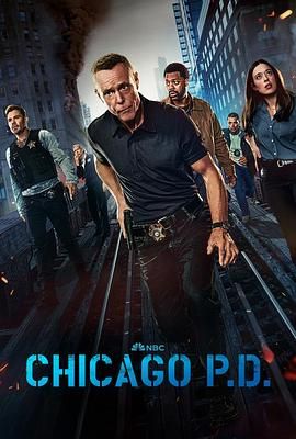 芝加哥警署 第十二季 Chicago P.D. Season 12